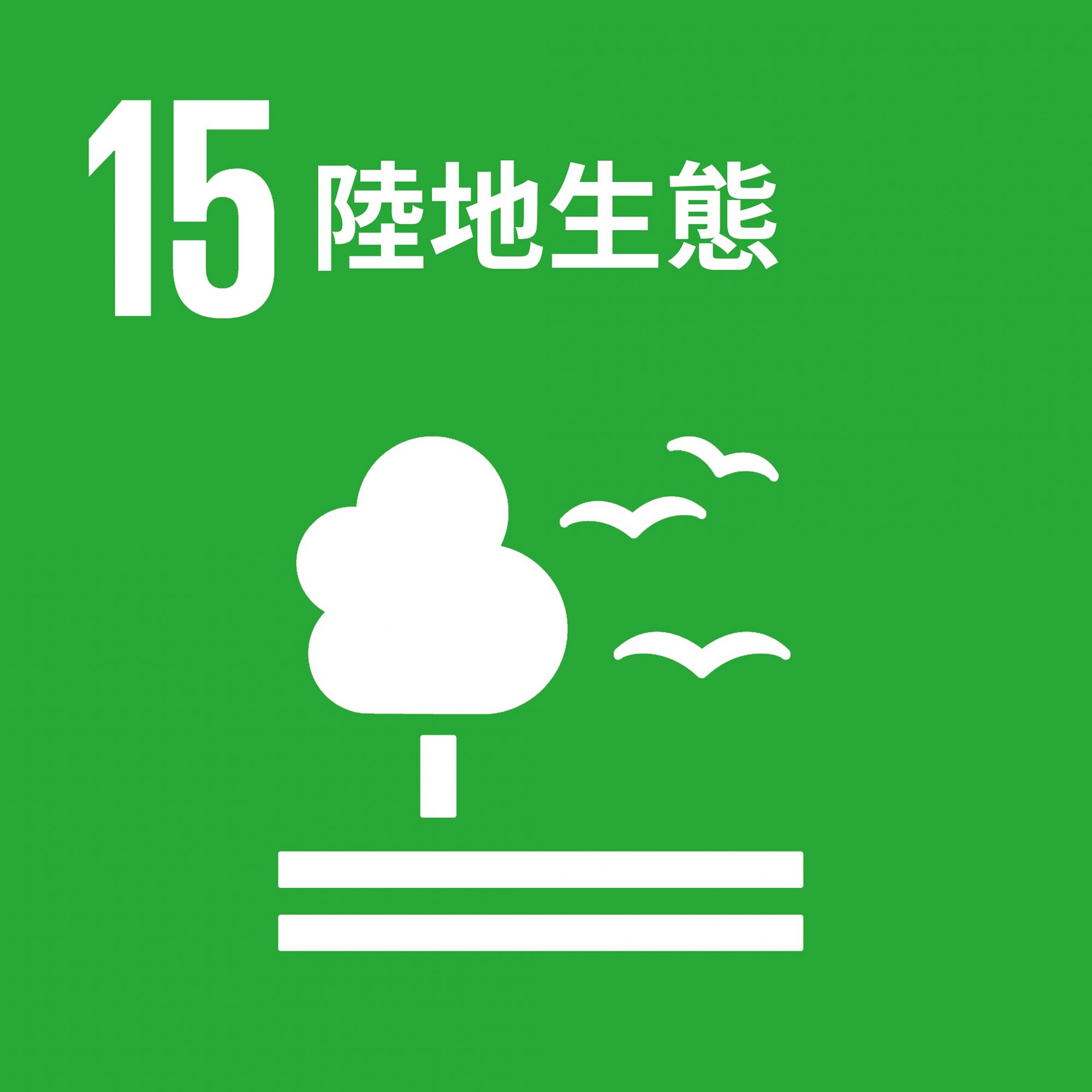 SDG 15.jpeg